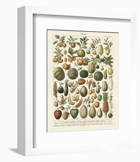 Fruits I-Adolphe Millot-Framed Art Print