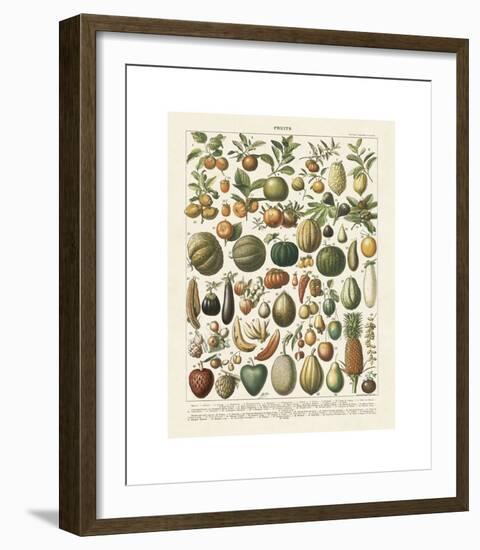 Fruits I-Adolphe Millot-Framed Giclee Print