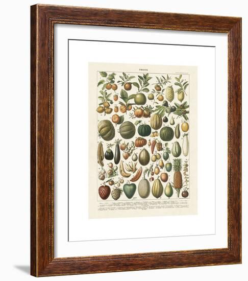 Fruits I-Adolphe Millot-Framed Giclee Print