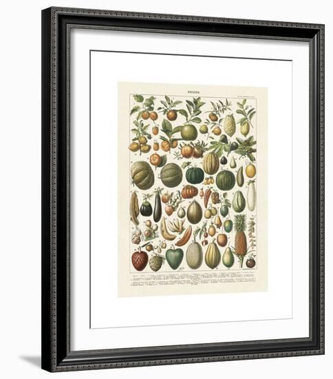 Fruits I-Adolphe Millot-Framed Giclee Print