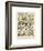 Fruits I-Adolphe Millot-Framed Giclee Print