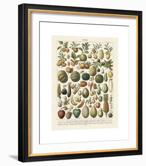 Fruits I-Adolphe Millot-Framed Giclee Print