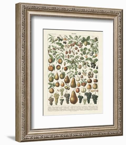 Fruits II-Adolphe Millot-Framed Art Print