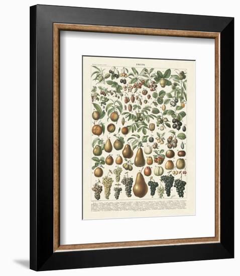 Fruits II-Adolphe Millot-Framed Art Print