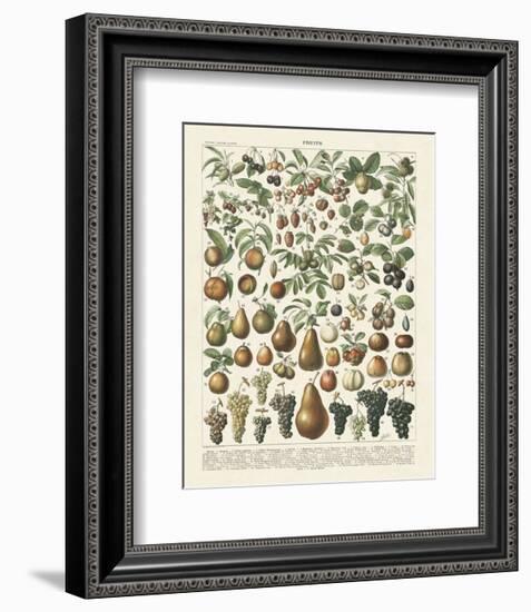 Fruits II-Adolphe Millot-Framed Art Print