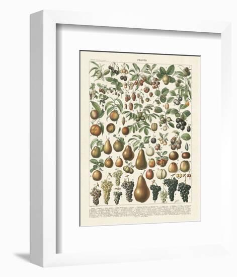 Fruits II-Adolphe Millot-Framed Art Print