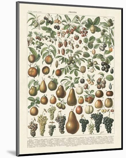 Fruits II-Adolphe Millot-Mounted Art Print