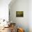 Fruits, Napkin and Milk Jar-Paul Cézanne-Giclee Print displayed on a wall