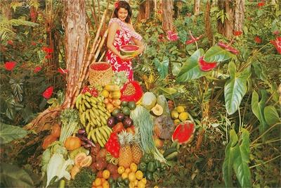 Fruits, Vegetables in Jungle Paradise Art Print | Art.com