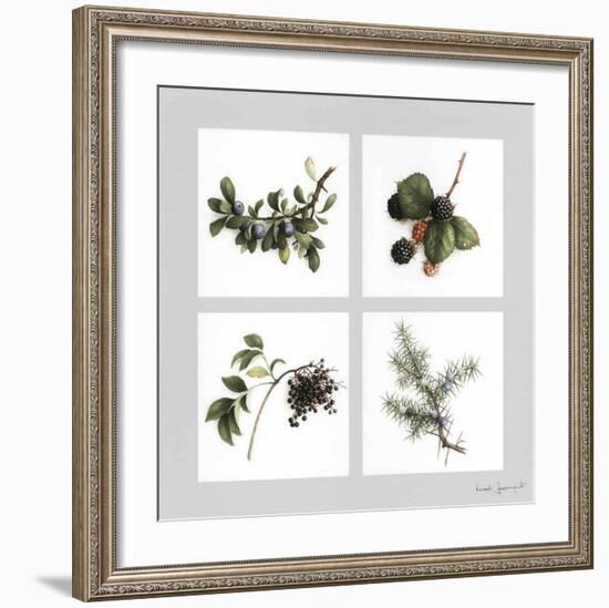 Fruits Violets-Vincent Jeannerot-Framed Art Print