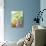 Fruits-David Munns-Photographic Print displayed on a wall