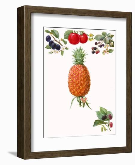 Fruits-English School-Framed Giclee Print