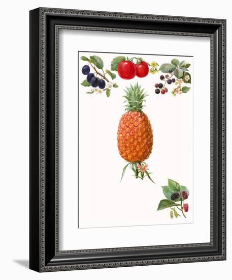 Fruits-English School-Framed Giclee Print