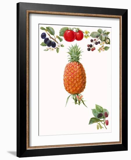 Fruits-English School-Framed Giclee Print