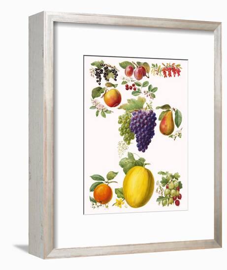 Fruits-English School-Framed Premium Giclee Print