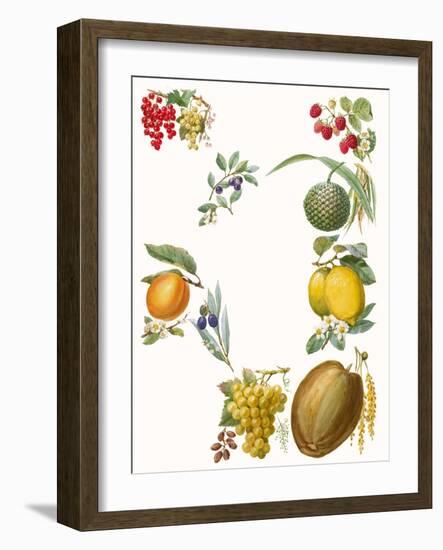 Fruits-English School-Framed Giclee Print