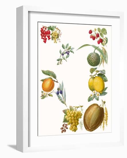 Fruits-English School-Framed Giclee Print