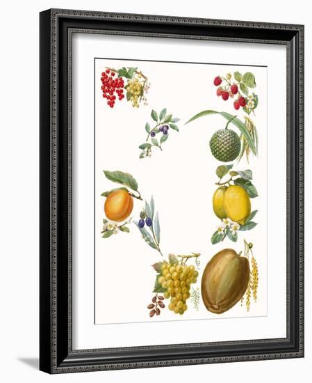 Fruits-English School-Framed Giclee Print