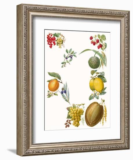 Fruits-English School-Framed Giclee Print