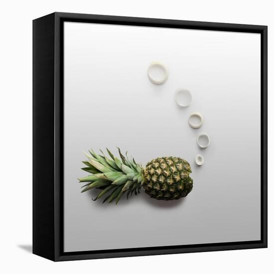 Fruity Fish-Fisher Photostudio-Framed Premier Image Canvas