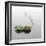 Fruity Fish-Fisher Photostudio-Framed Photographic Print