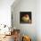 Frutta del Pranzo I-Amy Melious-Framed Stretched Canvas displayed on a wall