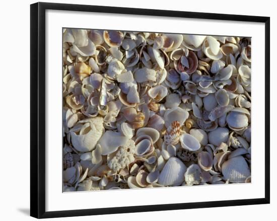 Ft Myers Beach, Lovers Key SRA, Florida, USA-Maresa Pryor-Framed Photographic Print