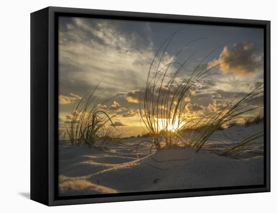 Ft. Pickens Sunset at Pensacola Beach, FL-Julian Loftis-Framed Premier Image Canvas