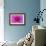 Fuchia-Pink Dahlia-Cora Niele-Framed Giclee Print displayed on a wall