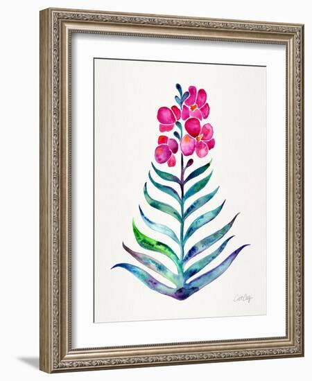 Fuchsia and Indigo Orchid Bloom-Cat Coquillette-Framed Giclee Print