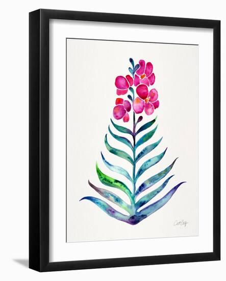 Fuchsia and Indigo Orchid Bloom-Cat Coquillette-Framed Giclee Print