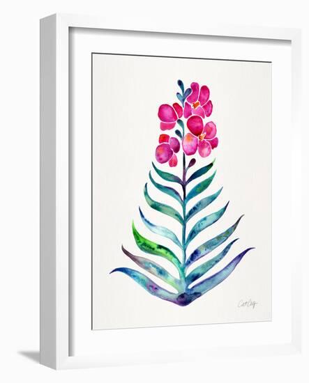 Fuchsia and Indigo Orchid Bloom-Cat Coquillette-Framed Giclee Print