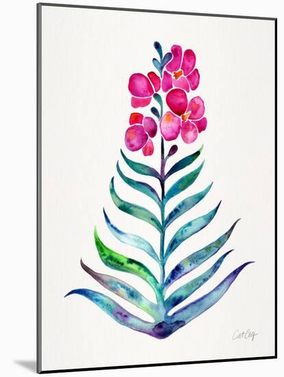Fuchsia and Indigo Orchid Bloom-Cat Coquillette-Mounted Giclee Print