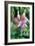 Fuchsia Bloom II-Erin Berzel-Framed Photographic Print