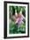 Fuchsia Bloom II-Erin Berzel-Framed Photographic Print