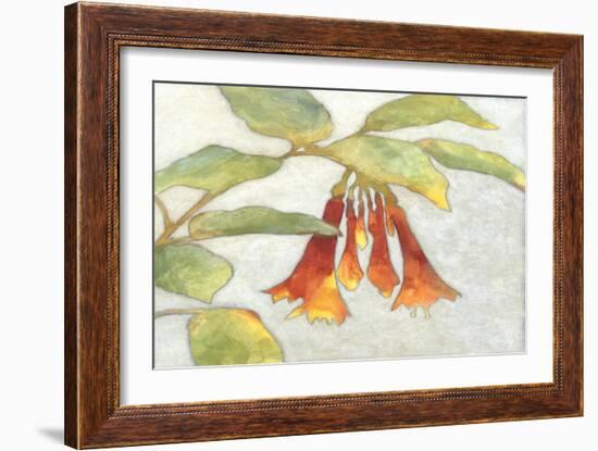 Fuchsia Blooms I-Megan Meagher-Framed Art Print