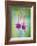 Fuchsia Blossoms-Don Paulson-Framed Giclee Print