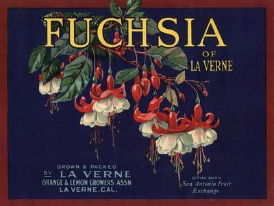La Verne California Fuchsia Flowers Lemon Citrus Fruit Crate Label Art Print
