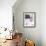 Fuchsia Divide II-Jennifer Goldberger-Framed Art Print displayed on a wall