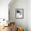 Fuchsia Divide II-Jennifer Goldberger-Framed Art Print displayed on a wall