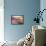 Fuchsia Expression II-Gabriela Villarreal-Framed Stretched Canvas displayed on a wall