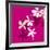 Fuchsia Kerala-Le'onor Mataillet-Framed Art Print