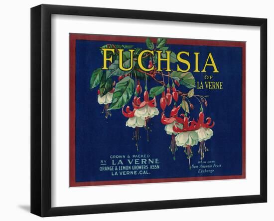 Fuchsia Lemon Label - La Verne, CA-Lantern Press-Framed Art Print