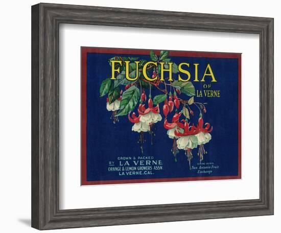 Fuchsia Lemon Label - La Verne, CA-Lantern Press-Framed Art Print