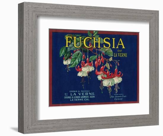 Fuchsia Lemon Label - La Verne, CA-Lantern Press-Framed Art Print
