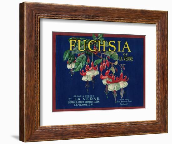 Fuchsia Lemon Label - La Verne, CA-Lantern Press-Framed Art Print