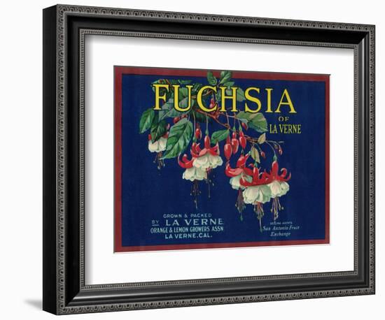 Fuchsia Lemon Label - La Verne, CA-Lantern Press-Framed Art Print