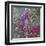 Fuchsia Nights-Ruth Palmer-Framed Art Print