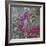 Fuchsia Nights-Ruth Palmer-Framed Art Print