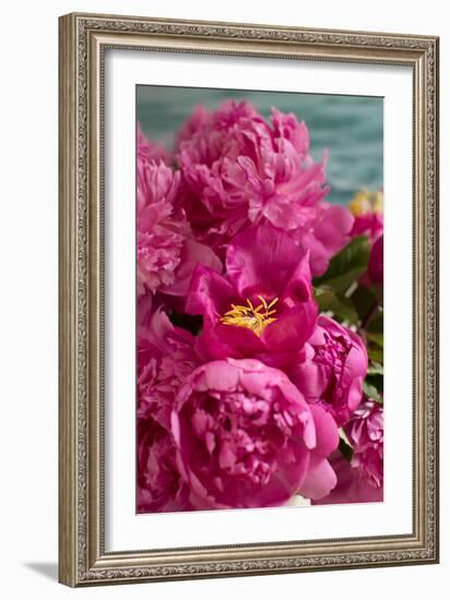 Fuchsia Peonies II-Karyn Millet-Framed Photo